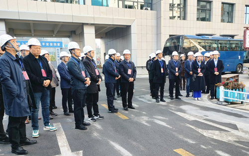 合肥市人大瑶海代表团来龚大塘复建点项目视察